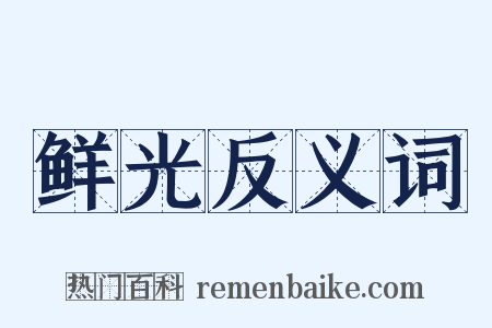 鲜光反义词是什么意思的图片